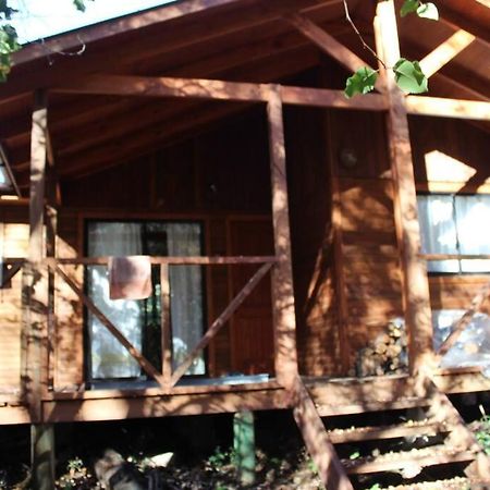 Cabana Bosque Viejo Villa Las Trancas Kültér fotó