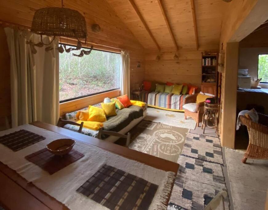 Cabana Bosque Viejo Villa Las Trancas Kültér fotó