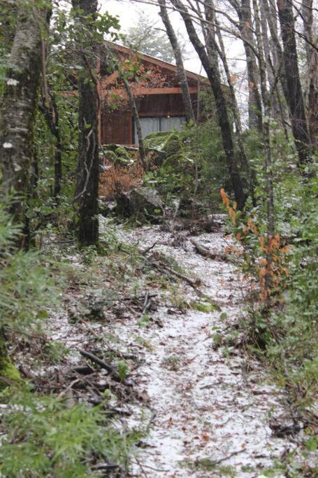 Cabana Bosque Viejo Villa Las Trancas Kültér fotó