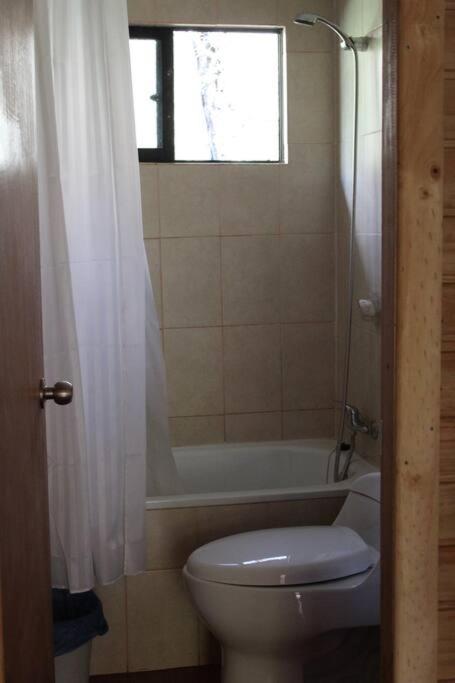 Cabana Bosque Viejo Villa Las Trancas Kültér fotó