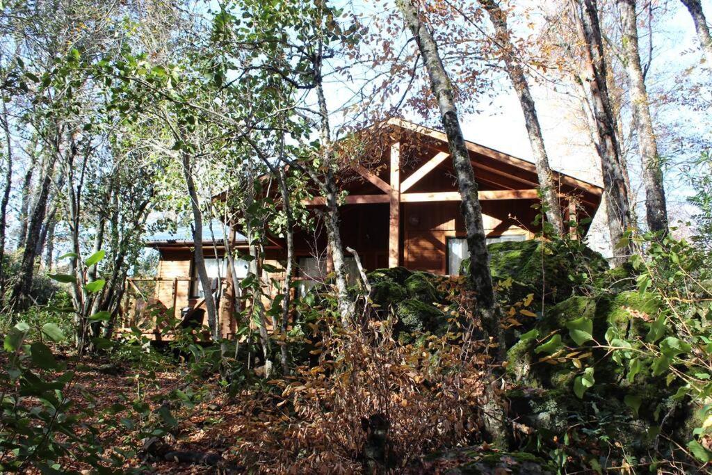 Cabana Bosque Viejo Villa Las Trancas Kültér fotó