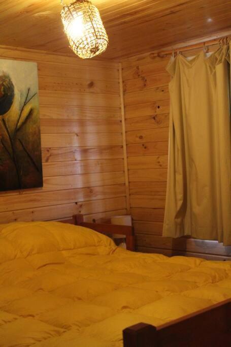 Cabana Bosque Viejo Villa Las Trancas Kültér fotó