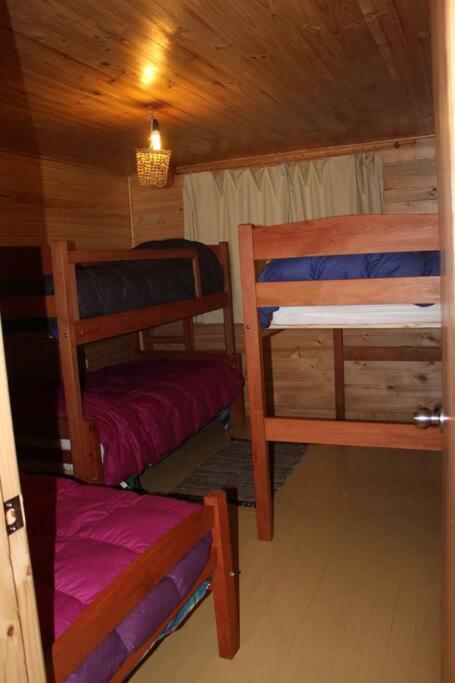 Cabana Bosque Viejo Villa Las Trancas Kültér fotó