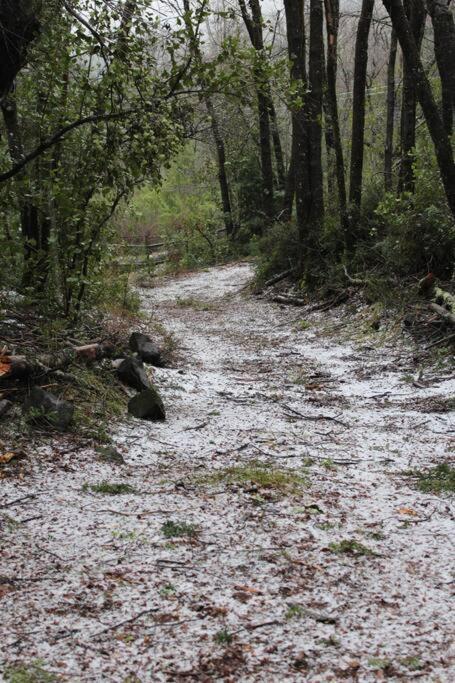 Cabana Bosque Viejo Villa Las Trancas Kültér fotó